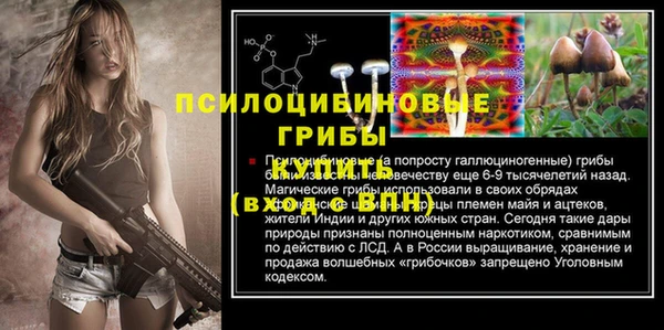 PSILOCYBIN Вязники