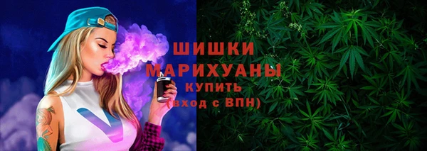 PSILOCYBIN Вязники